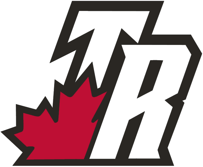 Toronto Raptors 2003-2008 Alternate Logo t shirts DIY iron ons